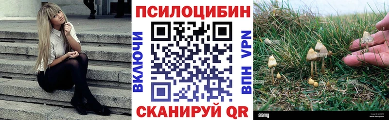 Галлюциногенные грибы мухоморы  Купить где  Кудымкар 