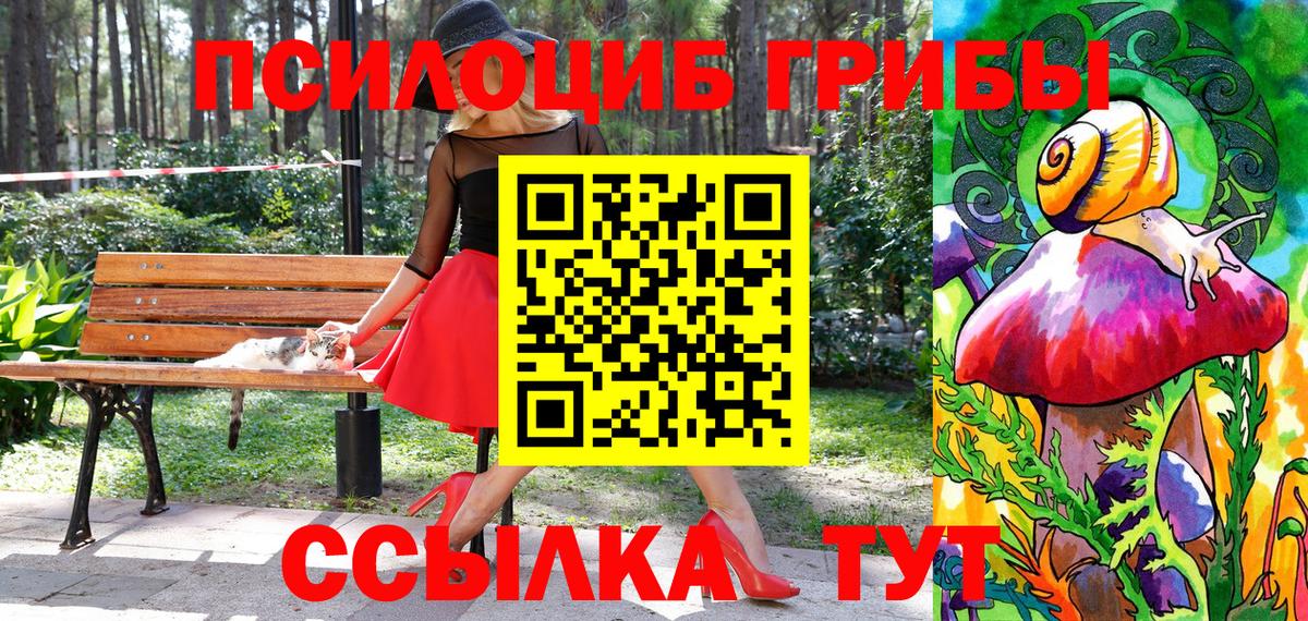 Галлюциногенные грибы Cubensis  Вход с VPN  Псилоцибиновые грибы мухоморы  Кудымкар 