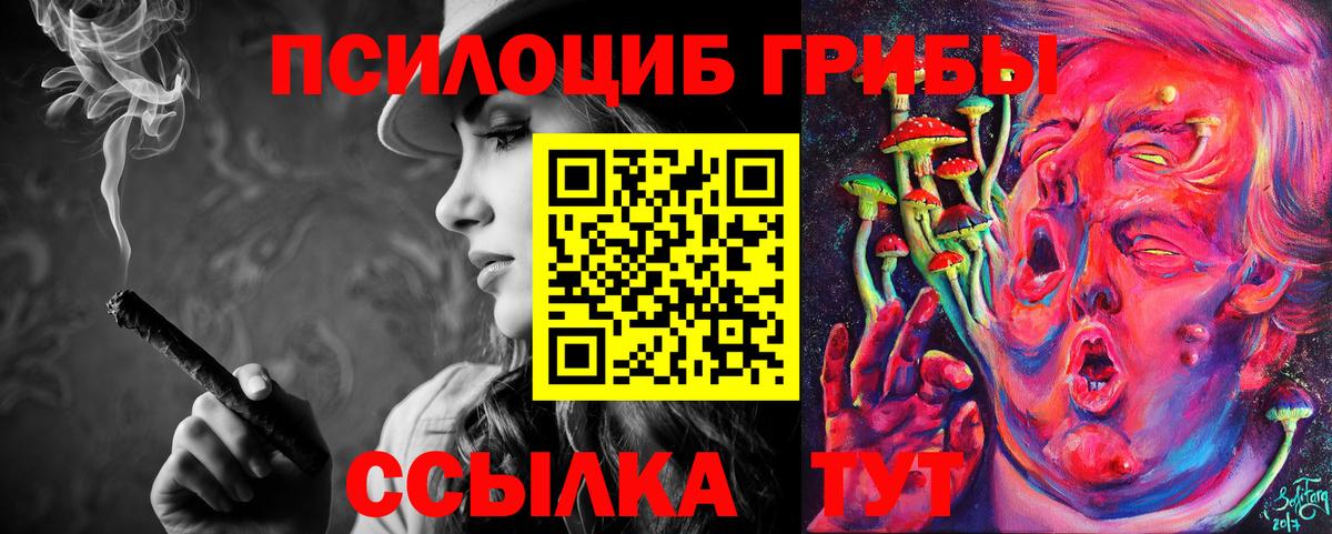 Псилоцибиновые грибы Psilocybine cubensis Кудымкар